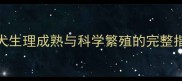 哈士奇配种最佳时间母犬生理成熟与科学繁殖的完整指南附配种前必看事项