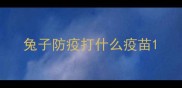 兔子防疫打什么疫苗