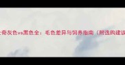 哈士奇灰色vs黑色全毛色差异与饲养指南附选购建议