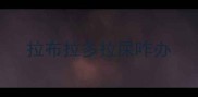 拉布拉多拉屎咋办