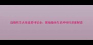 边境牧羊犬海盗脸特征全繁殖指南与品种特性深度解读