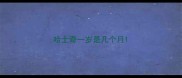 哈士奇一岁是几个月