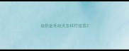捡的金毛幼犬怎样打疫苗