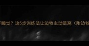边牧狗不进笼子睡觉这5步训练法让边牧主动进窝附边牧睡眠习惯全
