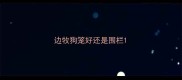 边牧狗笼好还是围栏