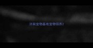 济南宠物基地宠物领养