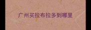 广州买拉布拉多到哪里