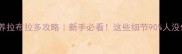 农村养拉布拉多攻略新手必看这些细节90人没做好