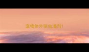 宠物体外驱虫滴剂