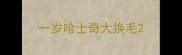 一岁哈士奇大换毛