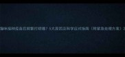猫咪接种疫苗后频繁打喷嚏5大原因及科学应对指南附紧急处理方案