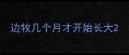 边牧几个月才开始长大