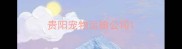 贵阳宠物运输公司