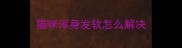猫咪浑身发软怎么解决