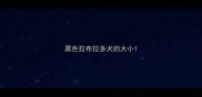 黑色拉布拉多犬的大小
