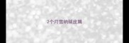 2个月雪纳瑞皮屑