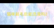 猫咪剃毛后能洗澡吗
