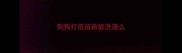 狗狗打疫苗前能洗澡么