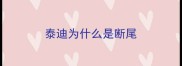 泰迪为什么是断尾