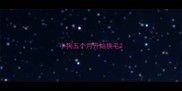 小狗五个月开始换毛