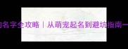 爆款小狗名字全攻略从萌宠起名到避坑指南一篇搞定