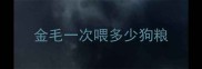 金毛一次喂多少狗粮