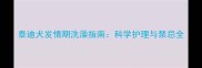 泰迪犬发情期洗澡指南科学护理与禁忌全