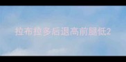拉布拉多后退高前腿低