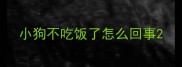 小狗不吃饭了怎么回事