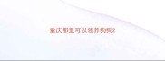 重庆那里可以领养狗狗