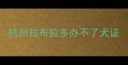 杭州拉布拉多办不了犬证