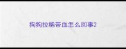 狗狗拉稀带血怎么回事