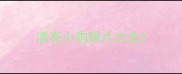 漂亮小狗照片大全