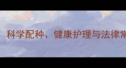哈士奇繁殖全指南科学配种健康护理与法律常识附最新数据