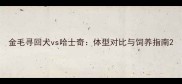 金毛寻回犬vs哈士奇体型对比与饲养指南