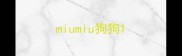 miumiu狗狗