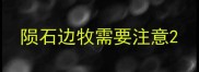 陨石边牧需要注意