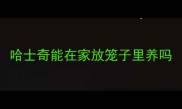 哈士奇能在家放笼子里养吗