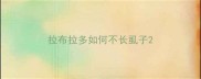 拉布拉多如何不长虱子