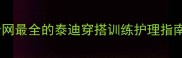 泰迪犬图片大全全网最全的泰迪穿搭训练护理指南附120张高清美照