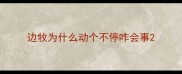 边牧为什么动个不停咋会事