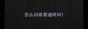 怎么训练泰迪吠叫
