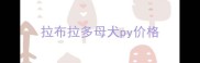 拉布拉多母犬py价格