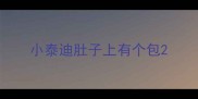 小泰迪肚子上有个包