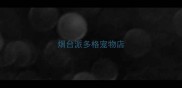 烟台派多格宠物店