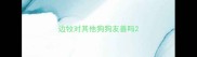 边牧对其他狗狗友善吗