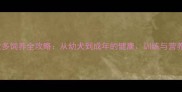 拉布拉多饲养全攻略从幼犬到成年的健康训练与营养指南