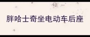 胖哈士奇坐电动车后座