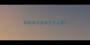 狗狗来月经多久可以配