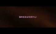 猫咪疫苗证包括什么